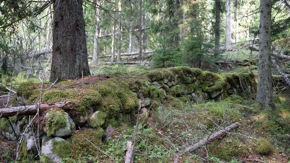 Stenmurarna efter Anders Carlsson är fortfarande intakta visar på en stor kraftvilja hos honom. Foto: Morgan Karlsson