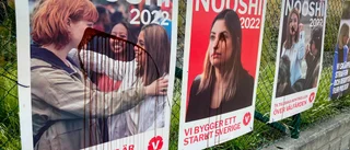Låt Socialdemokraterna sköta valrörelsen ifred