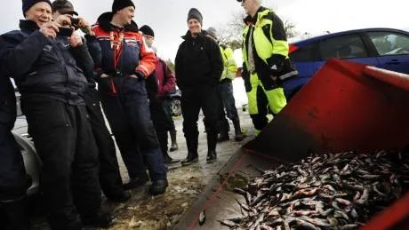 Deltagarna beundrar sin sammanlagda fångst.Foto: Ellen Nielsen-Kindstrand