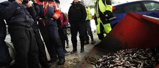 Emil pimplade bäst på Maren