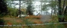 Rikskrim hjälper mordutredare