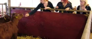 Upprop för Gamlebygymnasiets nya ettor