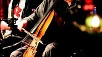 Koncentration. Nioåriga Axel Asp från Lidhemsskolan har spelat cello i två år, och är nu inne på sitt tredje. Han har övat länge inför julkonserten och var nöjd efteråt. Det gick bra att spela ihop med de andra skolorna, konstaterar han.  Foto: Ola Axman