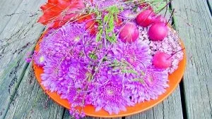 Boris Becker, efter tennisspelaren. Så kallas i floristkretsar de krysantemum som är bollformade. Här har ett vackert blad med rosa kanter, fröställningar från montbretia och några bär fått matcha fram krysantemummens färger. Gräset i bakgrunden kallas för coffegrass.