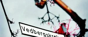 Vedberg, Veberg eller Veber?