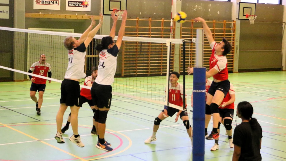 Piteå Volleybollklubb har gjort en riktigt fin debutsäsong så här långt med tre segrar på åtta matcher