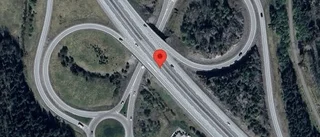 Varning för vildsvin på vägen på E20