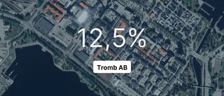 Så gick det för Tromb AB i fjol