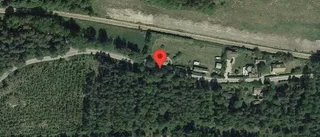 Problem i trafiken efter nedfallna träd på väg 986