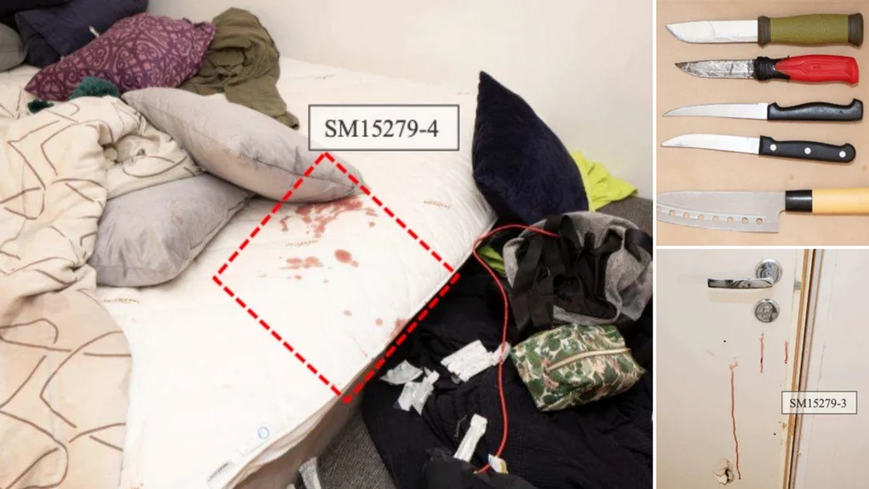 Här inträffade knivdådet. Det blodiga våldsdramat i en lägenhet i Skellefteå på kvällen den 18 oktober tycks som motiv ha haft bakomliggande konfilkter, däribland svartsjuka, mellan offret och den 35-årige man som åtalats för att ha hållit i kniven. Även en jämnårig kvinna står inför rätta för mordförsök.