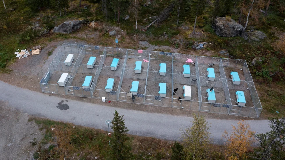 Så här ser de utändska ripjägarnas stora hundgård ut som ställts upp på den tidigare husvagnsparkeringen i Kvikkjokk
