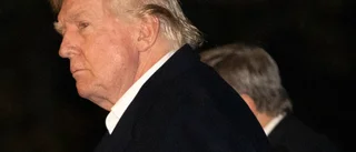 Trump inför tullar – bråttom att tillverka jordbruksprodukter