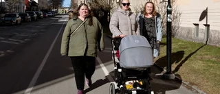 Hemester – genialiskt eller bara snålt?