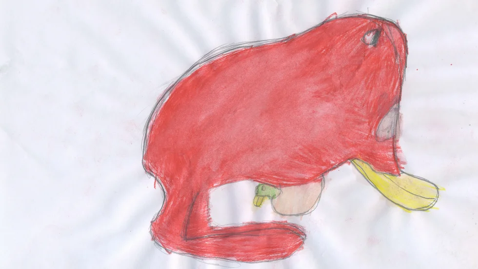 "Tungusaurus", en fantasidinosaurie som en elev på Ekuddenskolan föreställer sig den. Johan Ibrahim Adam har samlat samtliga teckningar i ett antal böcker som skolan fått.