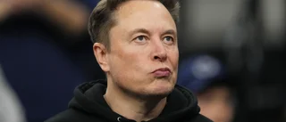 Musk vill se frihandelszon mellan USA och Europa
