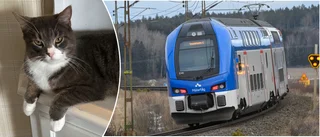 Katten Gismo dödades av tåget – nu får familjen ersättning