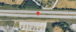 Varningen: Älg på E20 vid Årby