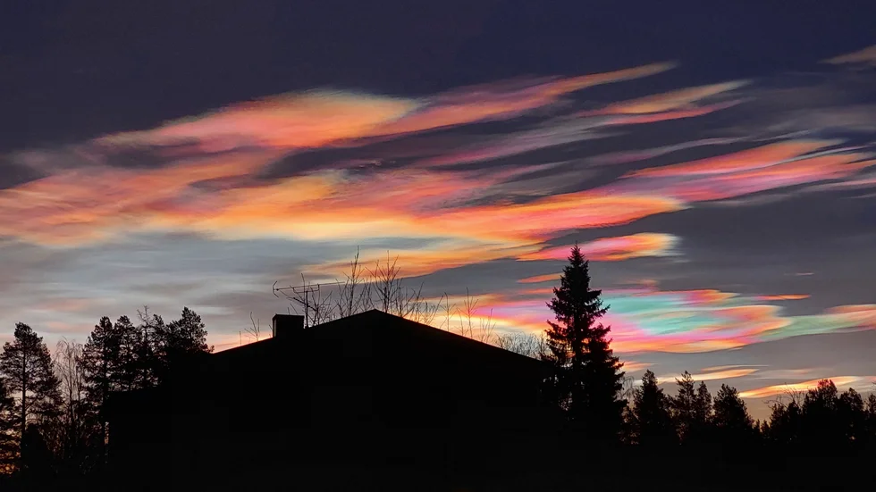 Pärlemormoln över Bjurträsk. Bilden togs på morgonen den 11 december. Enligt SMHI är pärlemormolnen mycket sällsynta och syns vanligen i gryning och skymning.