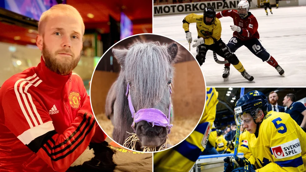 Fyra sportsliga annandagstips, som passar både den som söker gemenskap och för den som tröttnat på folksamlingar.