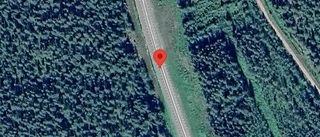 Singelolycka orsakar stopp på väg 95