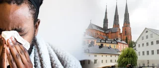 Se upp – nu kommer mykoplasmavågen