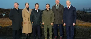 Stöd till Ukrainas militär: "Billigare"