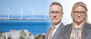 ”Stoppad vindkraft i Östersjön är en katastrof för Gotland”