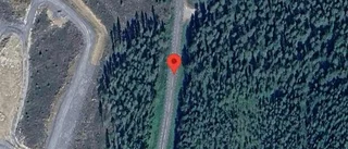 Problem i trafiken efter nedfallna träd på väg 870