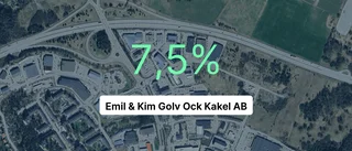 Emil & Kim Golv Ock Kakel AB: Redovisningen klar – så gick det för företaget