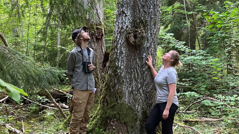 Torbjörn Blixt och Linnea Holmstrand från länsstyrelsens naturvårdsenhet inspekterar Aspenäs nya naturreservat som ligger på en udde i Sommen mitt emot Malexander.