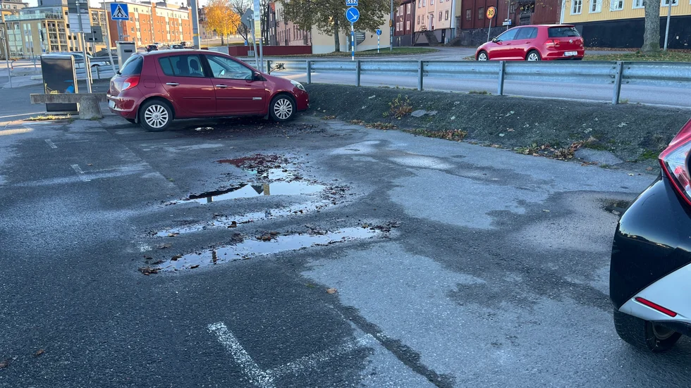 På platserna som ligger närmast vägen är rutorna väldigt otydliga. 