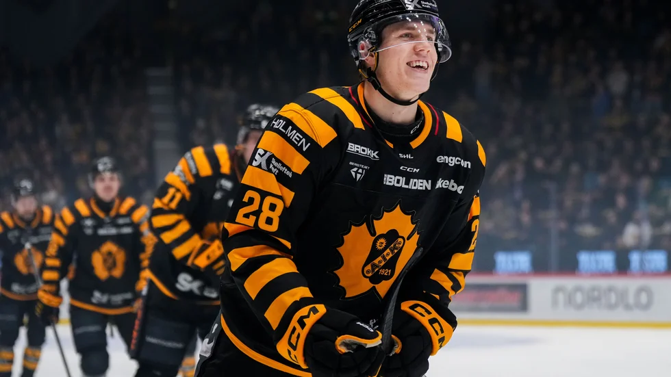 Michael Brandsegg-Nygård fick göra sitt tredje SHL-mål när Skellefteå AIK lördagsvann mot HV71.