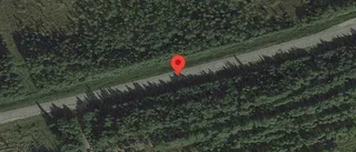 Varning för hundar på vägen på E45