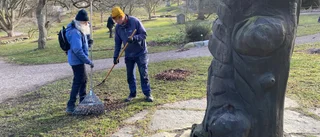 Vårstädning i Botaniska trädgården