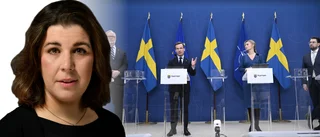 ”När Sverige stärker försvaret behöver alla vara vuxna i rummet”