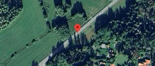 Nedfallna träd påverkar trafiken på väg 280