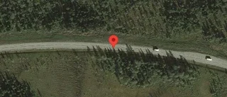 Störning i trafiken på grund av trasig lastbil på E45