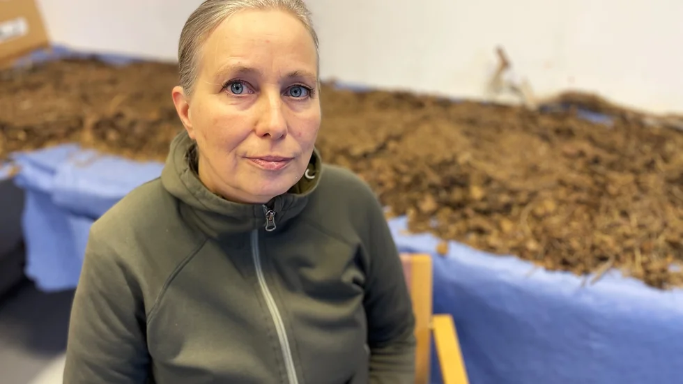 Luleåkonstnären Birgitta Linhart har under tre år deltagit i forskningsprojektet "Observation of Change" där biologer och konstnärer tillsammans belyser ett försök att restaurera en fjällmiljö i Norge vid svenska gränsen. 