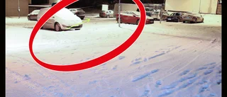 Advokatens tunga kritik: "Detta är ett tyckande"