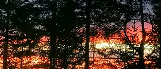 Harads sunset                          