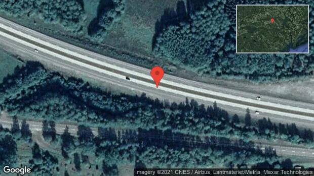 Rådjur på vägen på E20