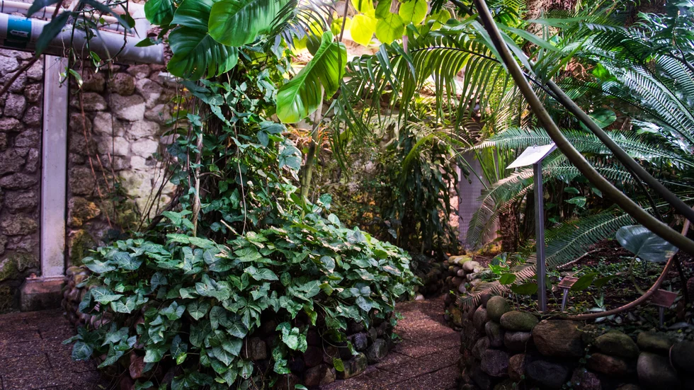 Botaniska trädgården i Lund. Arkivbild.