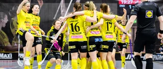 Endre värvar tränare från Hudiksvall