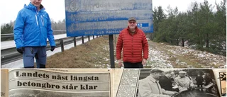 Backspegeln: De "byggde" högbron över Strängnässundet – "Spännande objekt"