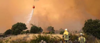 Spansk storbrand nästan under kontroll