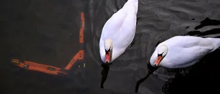 Vi behöver prata om miljön för att kunna leva bättre