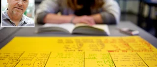 Trots pandemin steg niornas betyg – men stora skillnader mellan olika skolor