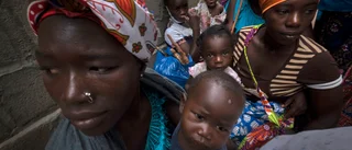 EU vill stödja Moçambiques kamp mot jihadister