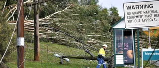Förare dog efter att oväder översvämmat väg