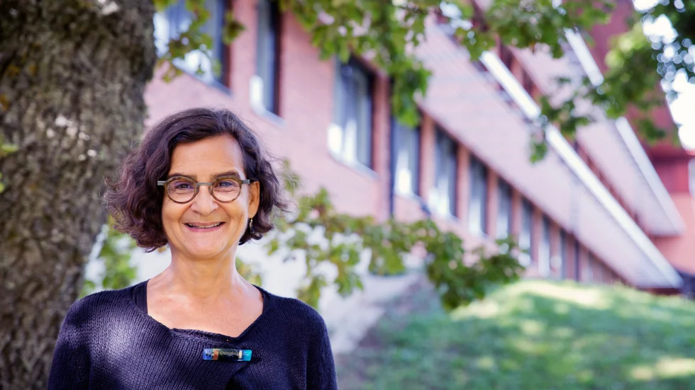 Anneli Bergholm Söder är länsråd på Gotland. Hon konstaterar att mer bostäder byggs eftersom fler flyttar hit.